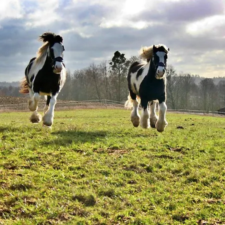 Alojamento de Turismo Rural Folwark Mazurskie Legendy - Azyl Dla Doroslych Kruklanki