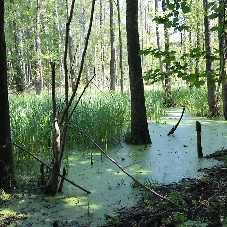 Alojamento de Turismo Rural Folwark Mazurskie Legendy - Azyl Dla Doroslych